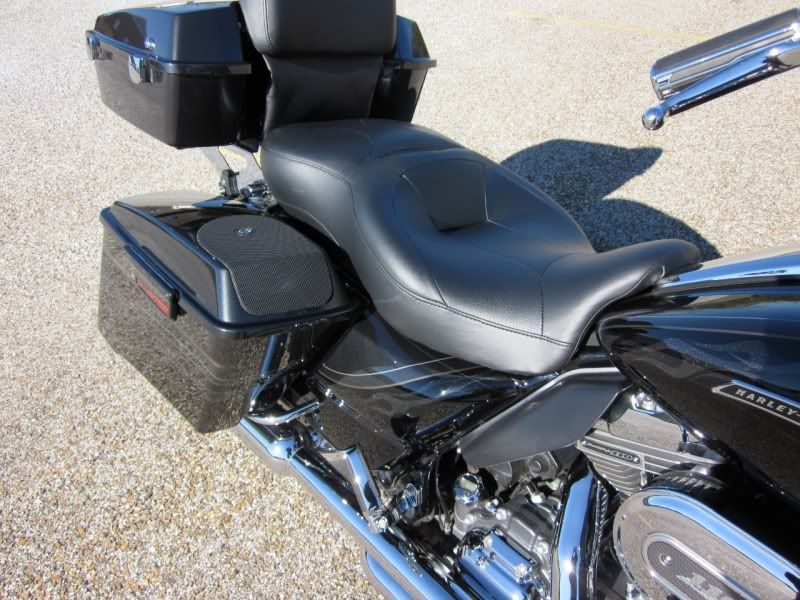 Seat that helps tail bone pain? Harley Davidson Forums